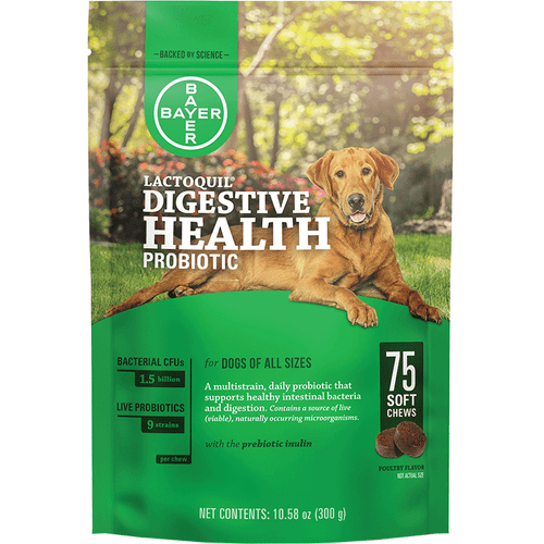 Elanco Lactoquil Daily Probiotic Soft Chews for Dogs 75 Count